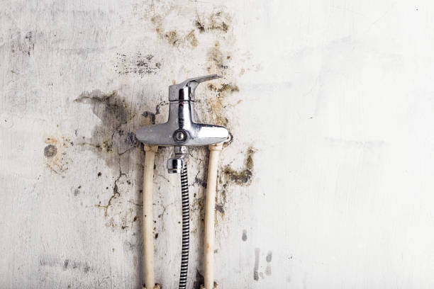 Best Bathroom Mold Remediation in Lynbrook, NY